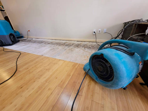 Professional Structural Drying technician working in Mason, MI